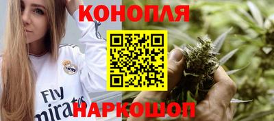 мяу мяу мука Будённовск