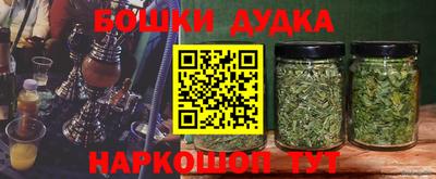 молекула духа Бузулук