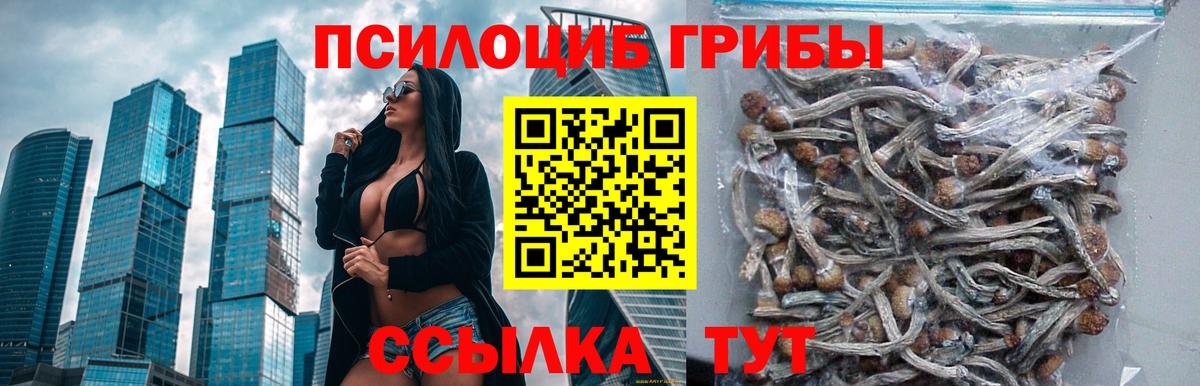 Лсд 25 Миллерово