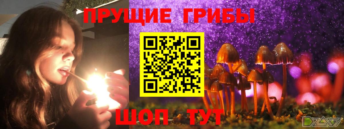 Галлюциногенные грибы мицелий  Галлюциногенные грибы мухоморы  продажа наркотиков  Вход с VPN  Миллерово 